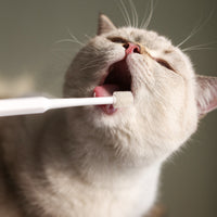 HKM-9782973 360-Degree Pet Toothbrush for Dogs and Cats - Effective Oral Cleaning and Bad Breath Prevention