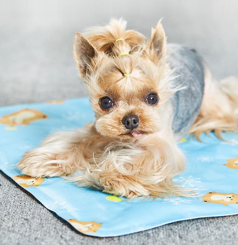 HKM-9783229 Cooling Pet Mat for Cats and Small Dogs - PVC Polyester Cloth with Soft Ice Gel Filling, 30x40cm