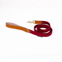 HKM-9789117 Leather Bowknot Dog Collar with Hand-Holding Rope - Twill Brushed Flannel and Cowhide Options