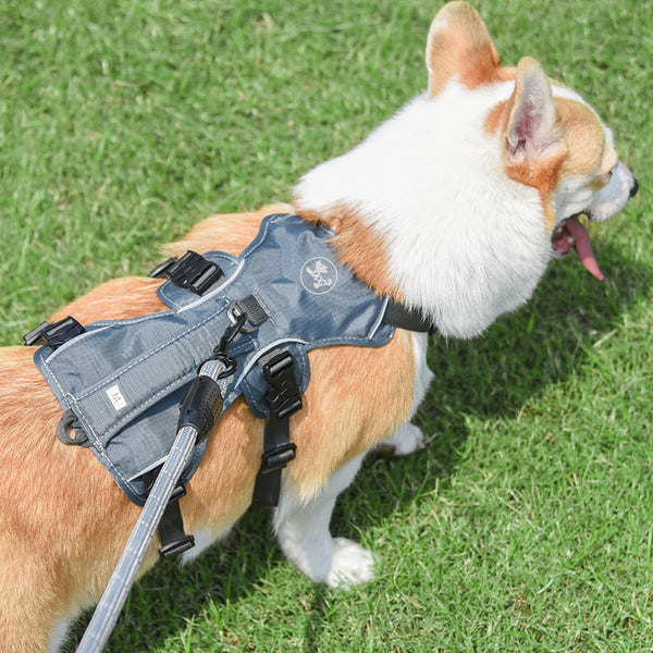 HKM-9792189 Adjustable Nylon Pet Harness with Reflective Round Rope for Dogs