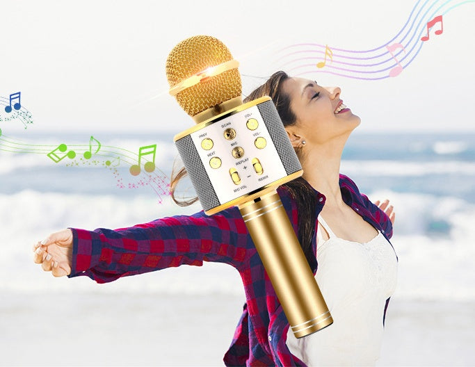HKM-979219 Portable Bluetooth Wireless Microphone for Music Playback and Karaoke at Home
