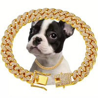 HKM-9795517 Luxury Alloy Dog and Cat Choker with Sparkling Diamond Design, Adjustable and Durable Metal Chain