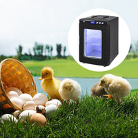 HKM-9796925 Digital Reptile Egg Incubator with Adjustable Temperature 5-42¡ãC and 25L Capacity for Small Reptiles