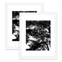 HKM-980563 Wooden Photo Frame Set for Living Room & Bedroom - A1 A2 A3 A4 Sizes