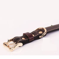 HKM-9808189 Two-Layer Microfiber Leather Dog Collar with Traction Rope - Multi-Purpose, Available in Brown and Red, Sizes XS to L
