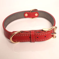 HKM-9808189 Two-Layer Microfiber Leather Dog Collar with Traction Rope - Multi-Purpose, Available in Brown and Red, Sizes XS to L