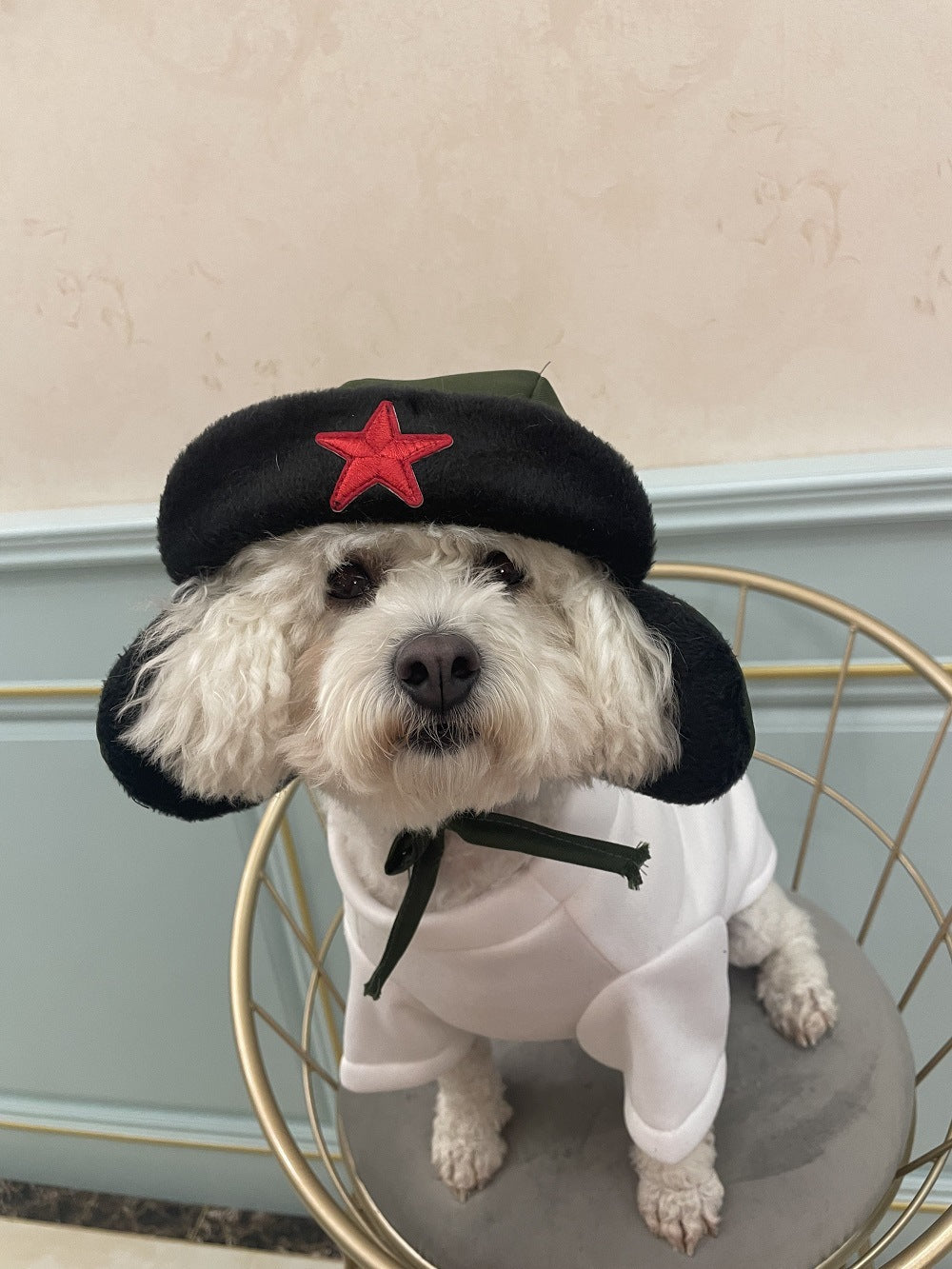 HKM-9808957 Cotton Thickened Pet Outfit with Hat for Dogs and Cats in Green