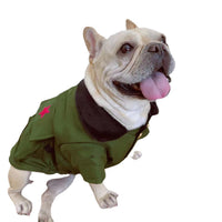 HKM-9808957 Cotton Thickened Pet Outfit with Hat for Dogs and Cats in Green