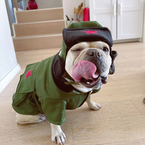 HKM-9808957 Cotton Thickened Pet Outfit with Hat for Dogs and Cats in Green
