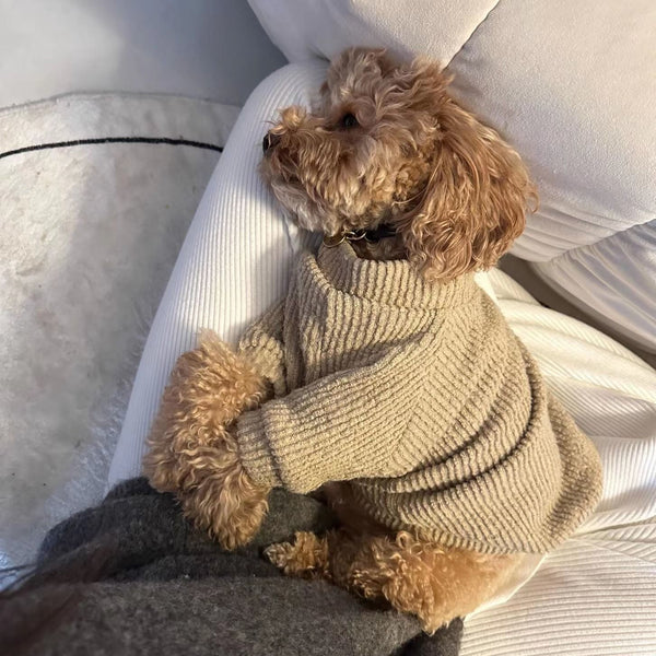 HKM-9817917 Warm Brown Dog Sweater Pullover for Small Breeds like Bichon, Pomeranian, and Schnauzer