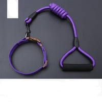 HKM-9819197 Rainbow Series Round Rope Chest and Back Collar for Dogs - Multiple Colors Available