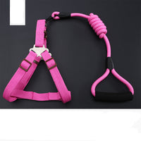 HKM-9819197 Rainbow Series Round Rope Chest and Back Collar for Dogs - Multiple Colors Available