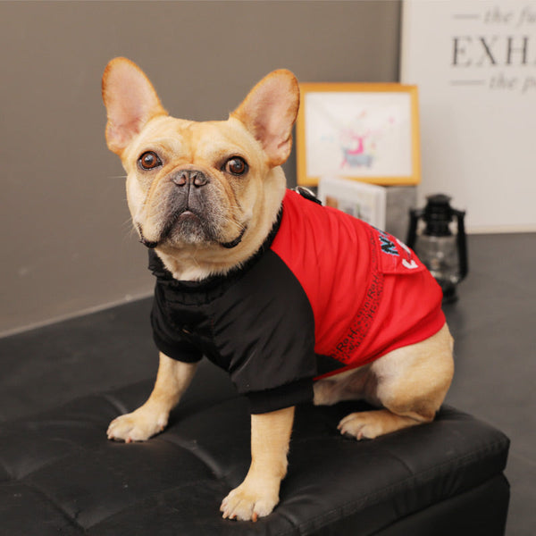 HKM-9819581 Cozy Red Pet Clothing for Small Puppies - Casual Autumn & Winter Style