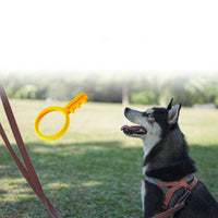 HKM-9820733 Floating Water Toy for Dogs - TPR Foam Gnawing Toy with Key Grip for Outdoor Play