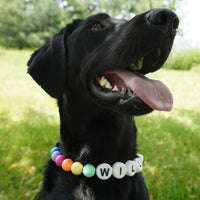 HKM-9828285 Personalized Beaded Dog Collar and Bracelet Set with Custom Name and Pearl Design