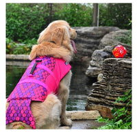 HKM-9829821 Pet Life Jacket for Swimming - Durable 600D Polyester Oxford Cloth, High Density Foam, Available in Pink, Mermaid Gray, Shark Red, and Clownfish Colors