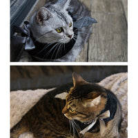 HKM-9830461 Cute Black Bat Hooded Cloak for Kids, 30cm Cotton Scarf