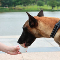 HKM-9831485 Portable Water Bottle and Food Feeder for Dogs and Cats - Ideal for Outdoor Travel