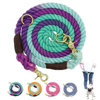 HKM-983827 Two-in-One Double Dog Walking Rope with Half-Chain Collar for Small Dogs
