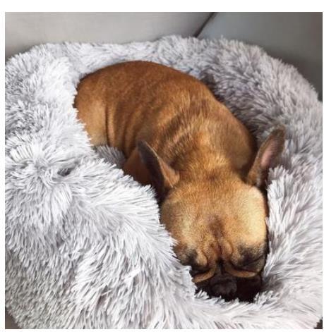 HKM-9841213 Waterproof Non-Slip Pet Bed with Durable Oxford Cloth and Plastic Nest Bottom