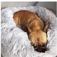 HKM-9841213 Waterproof Non-Slip Pet Bed with Durable Oxford Cloth and Plastic Nest Bottom