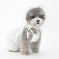 HKM-9841725 Cute Cotton Pet Hat for Puppies and Kittens - Available in Blue, White, Yellow, Sizes S, M, L