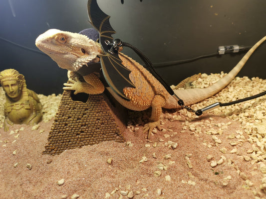 HKM-9846205 Lizard Pulling Rope with Leather Wings for Pets - 1.8m Leash Included