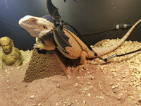 HKM-9846205 Lizard Pulling Rope with Leather Wings for Pets - 1.8m Leash Included