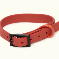 HKM-9852477 Waterproof and Antifouling Pet Traction Rope with Adjustable Collar - 120cm to 160cm Length Options