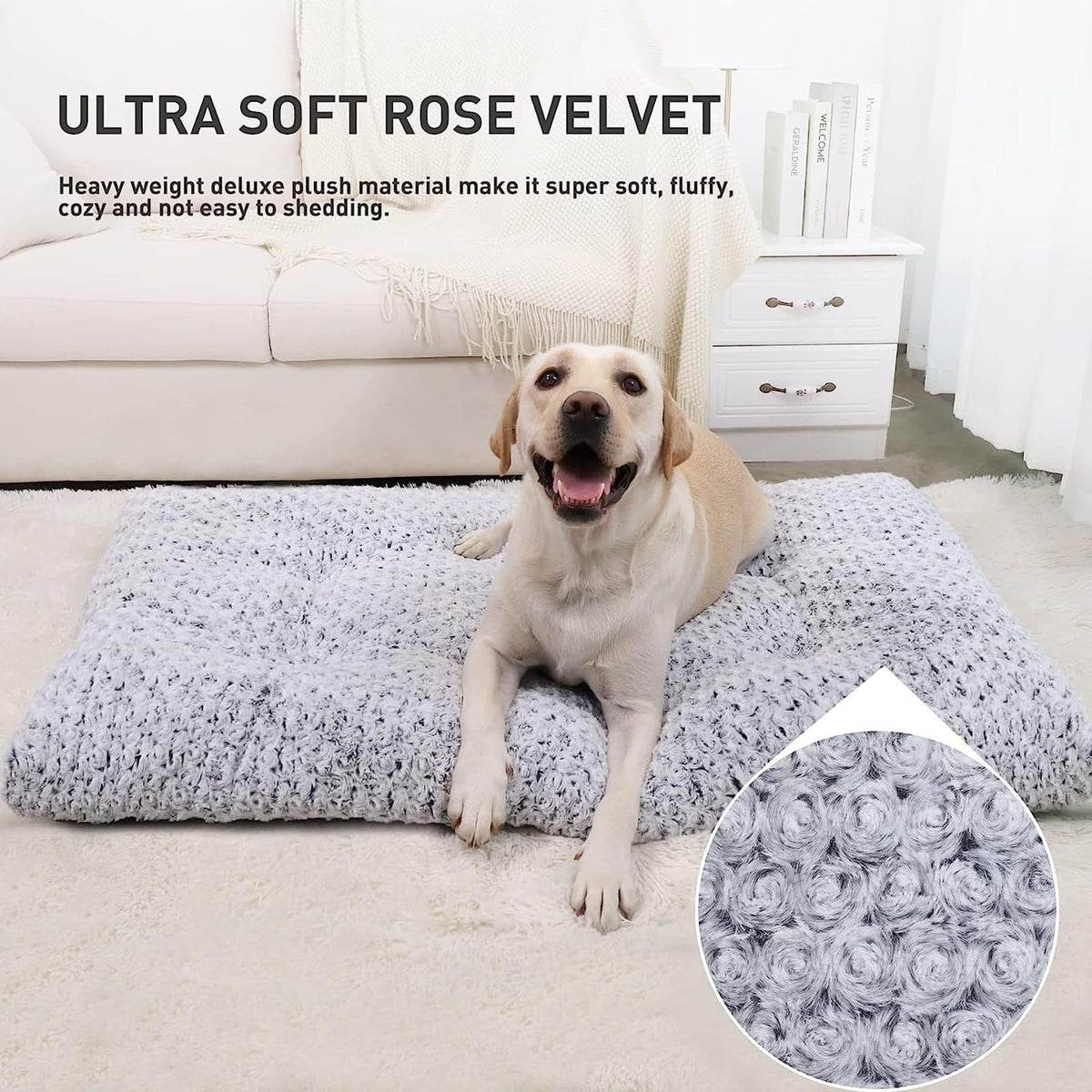 HKM-9854525 Embossed Velvet Dog Mat - Bite-Resistant, Scratch-Proof, Soft & Anti-Slip for All Seasons