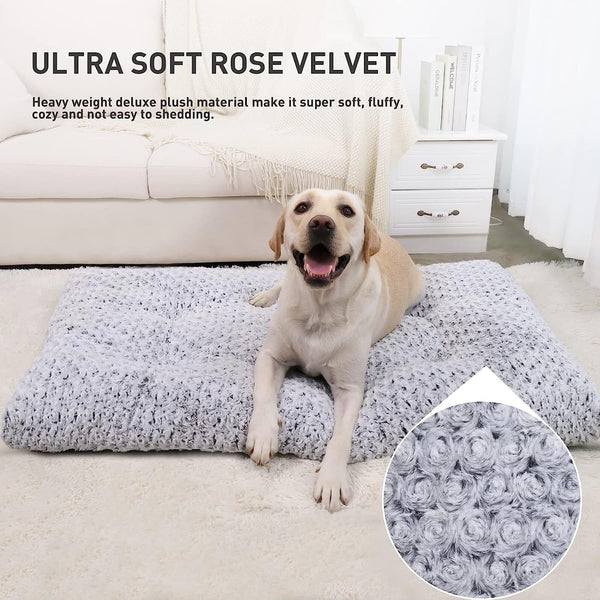 HKM-9854525 Embossed Velvet Dog Mat - Bite-Resistant, Scratch-Proof, Soft & Anti-Slip for All Seasons