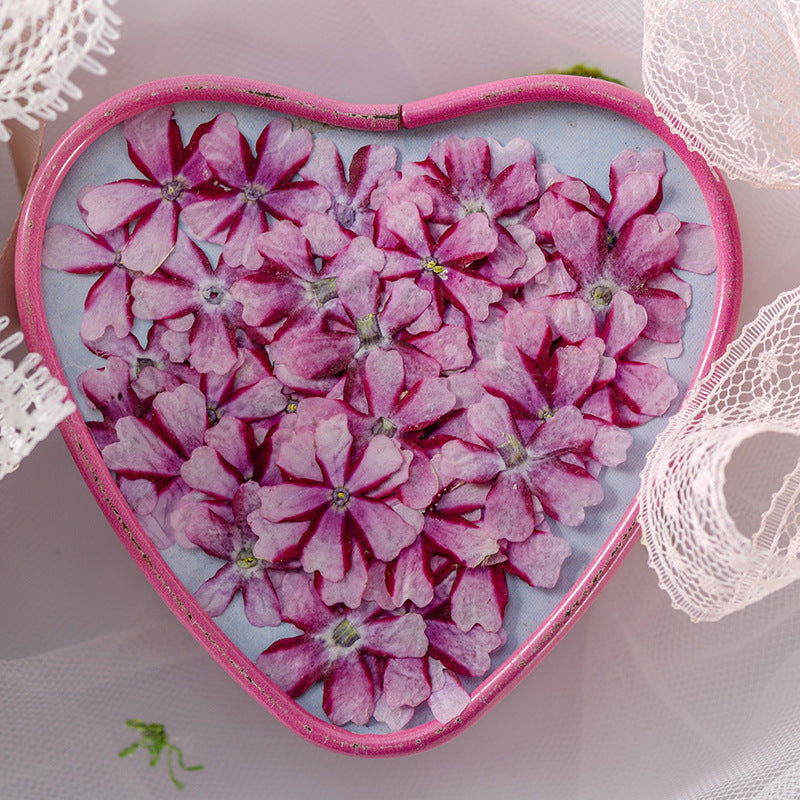HKM-986067 Dried Flower Bookmark Accessories - Natural Cherry Blossom & Verbena Specimens for Crafting