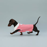 HKM-9863997 Sleeveless Red Striped Dog Vest for Small Dogs - Perfect Fit for Schnauzers and Sausages