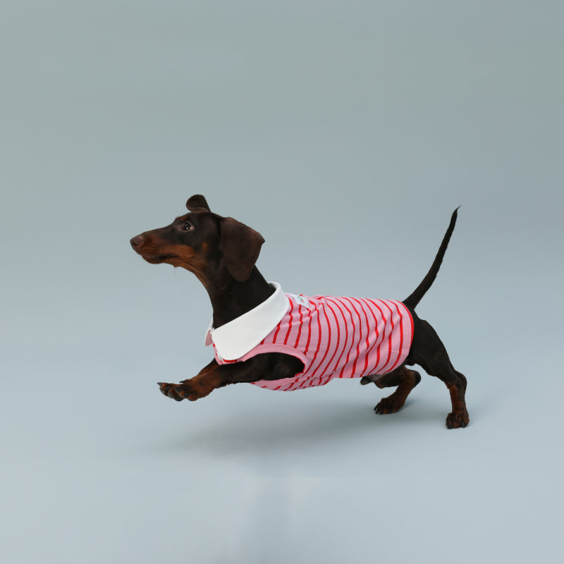 HKM-9863997 Sleeveless Red Striped Dog Vest for Small Dogs - Perfect Fit for Schnauzers and Sausages