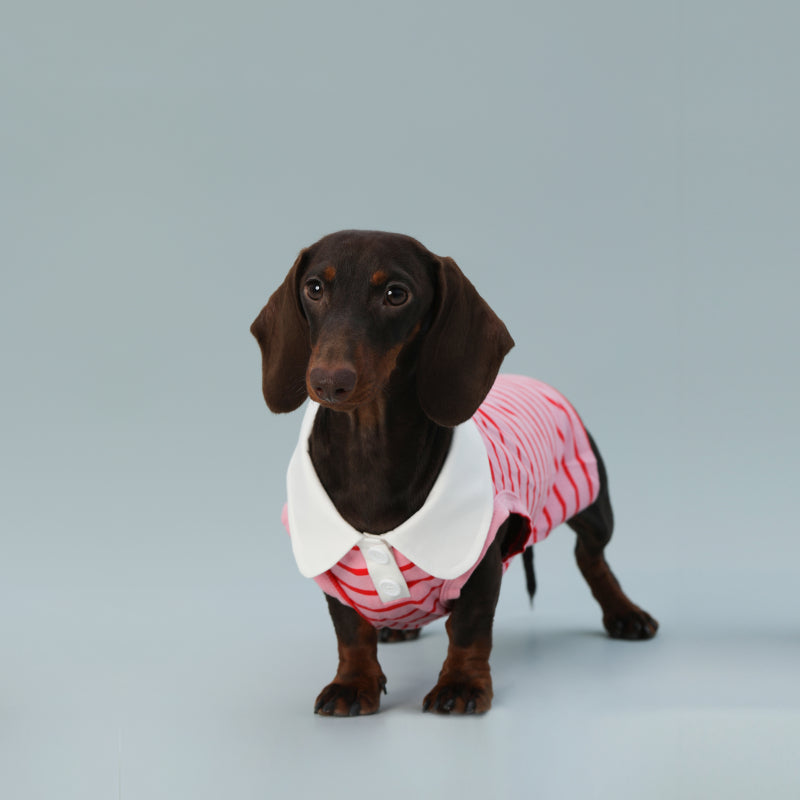 HKM-9863997 Sleeveless Red Striped Dog Vest for Small Dogs - Perfect Fit for Schnauzers and Sausages