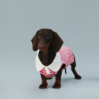 HKM-9863997 Sleeveless Red Striped Dog Vest for Small Dogs - Perfect Fit for Schnauzers and Sausages