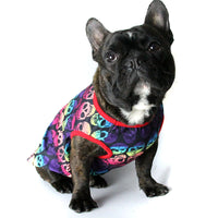 HKM-9864765 Casual Teddy Clothes for Bichon, Pomeranian, and Schnauzer - Short Sleeve and Vest Options