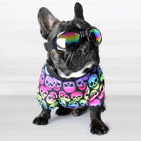 HKM-9864765 Casual Teddy Clothes for Bichon, Pomeranian, and Schnauzer - Short Sleeve and Vest Options