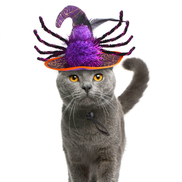 HKM-9868349 Cat Halloween Headdress in Purple, Black, and Orange - Cloth Pet Costume Accessory, Average Size