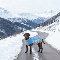 HKM-9868605 Waterproof and Windproof Pet Coat for Small and Medium Dogs in Red, Black, Camel, Peacock Blue – Polyester Material