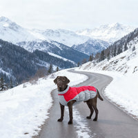 HKM-9868605 Waterproof and Windproof Pet Coat for Small and Medium Dogs in Red, Black, Camel, Peacock Blue – Polyester Material