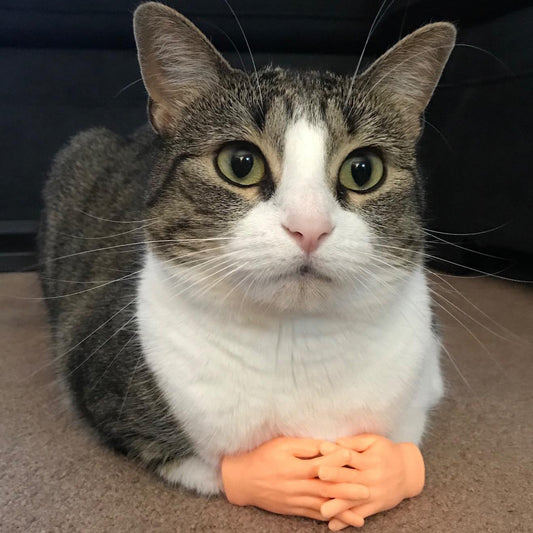 HKM-986899 Pet Cat Touching Finger Massage Toy Funny Little Trick Small Hand Model Funny Artifact Cat Finger Stall