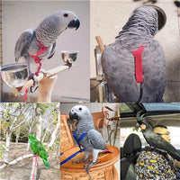 HKM-9873725 Nylon Hand Holding Rope for Parrots - Adjustable Lengths in Black, Green, Sapphire Blue, and Red