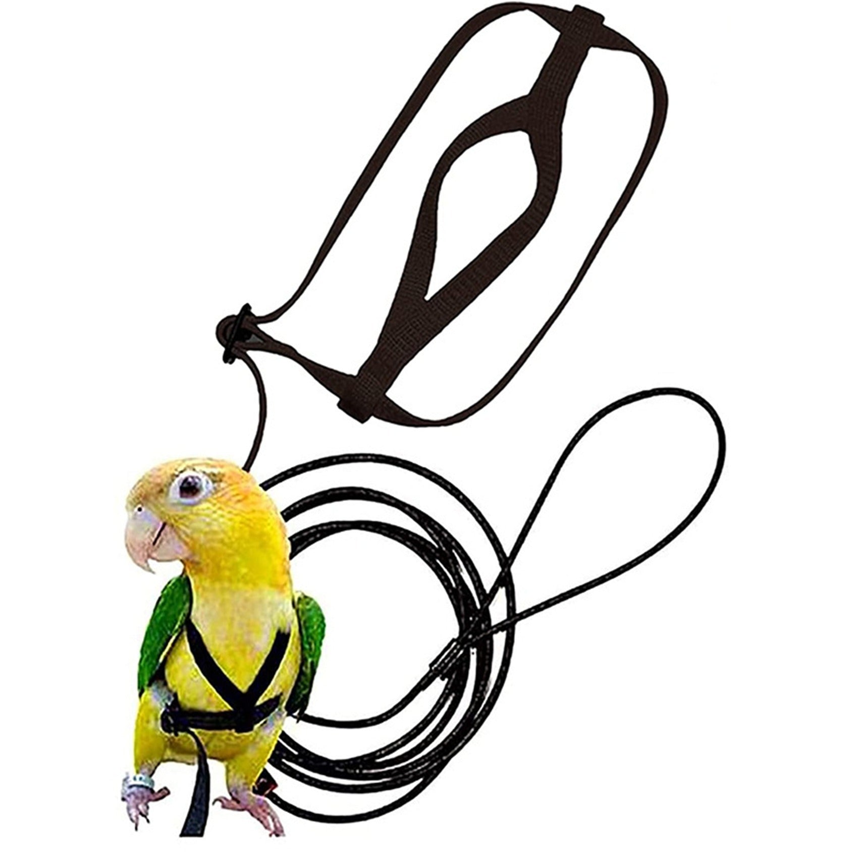 HKM-9873725 Nylon Hand Holding Rope for Parrots - Adjustable Lengths in Black, Green, Sapphire Blue, and Red