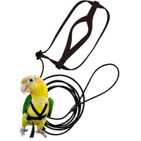 HKM-9873725 Nylon Hand Holding Rope for Parrots - Adjustable Lengths in Black, Green, Sapphire Blue, and Red