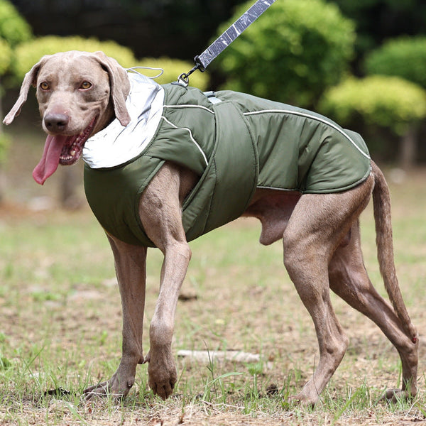 HKM-9883837 Warm Cotton-Padded Dog Clothing in Multiple Colors and Sizes