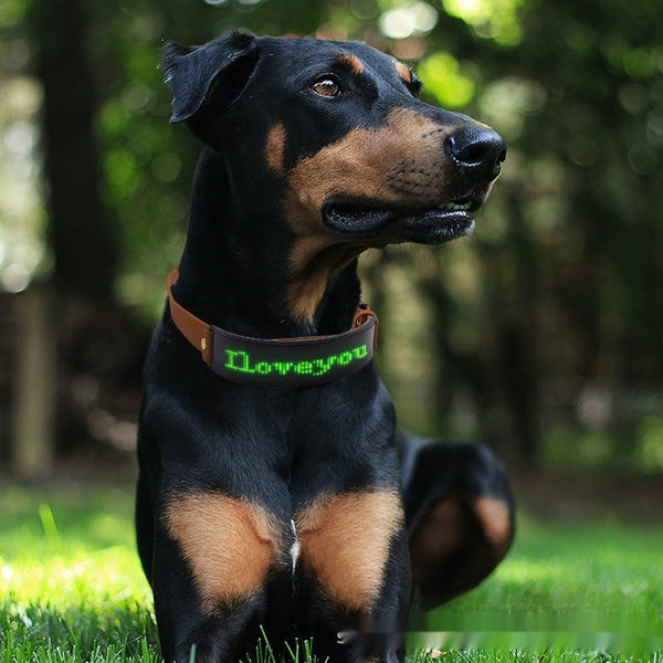 HKM-9887421 LED Display Dog Harness - Monochrome Leather Collar with Colorful Lights for All Seasons