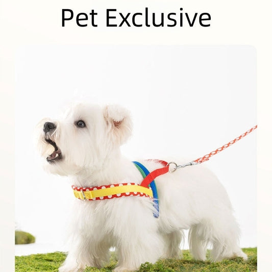 HKM-9889981 Escape-Proof Colorful Dog Harness & Leash Set for Small and Medium Dogs