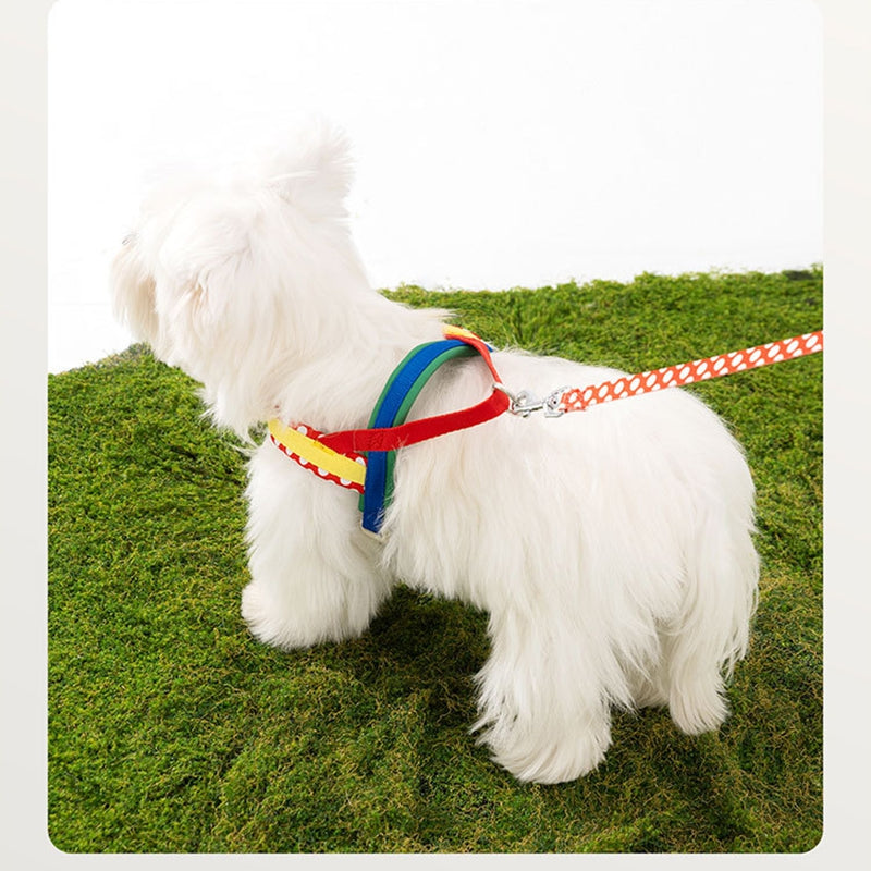 HKM-9889981 Escape-Proof Colorful Dog Harness & Leash Set for Small and Medium Dogs