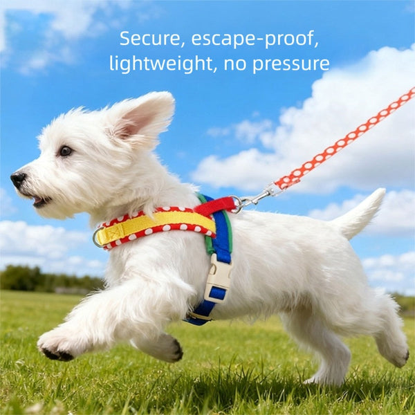 HKM-9889981 Escape-Proof Colorful Dog Harness & Leash Set for Small and Medium Dogs